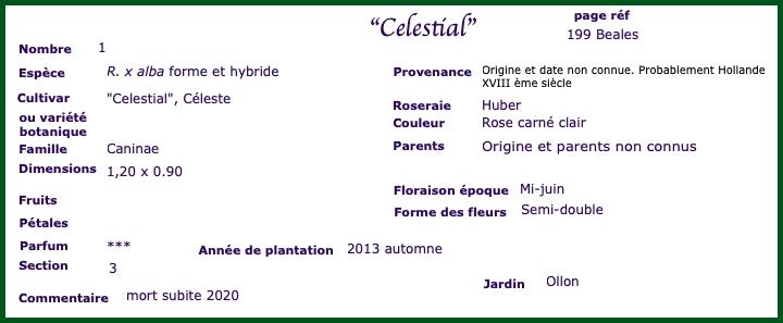celestial1